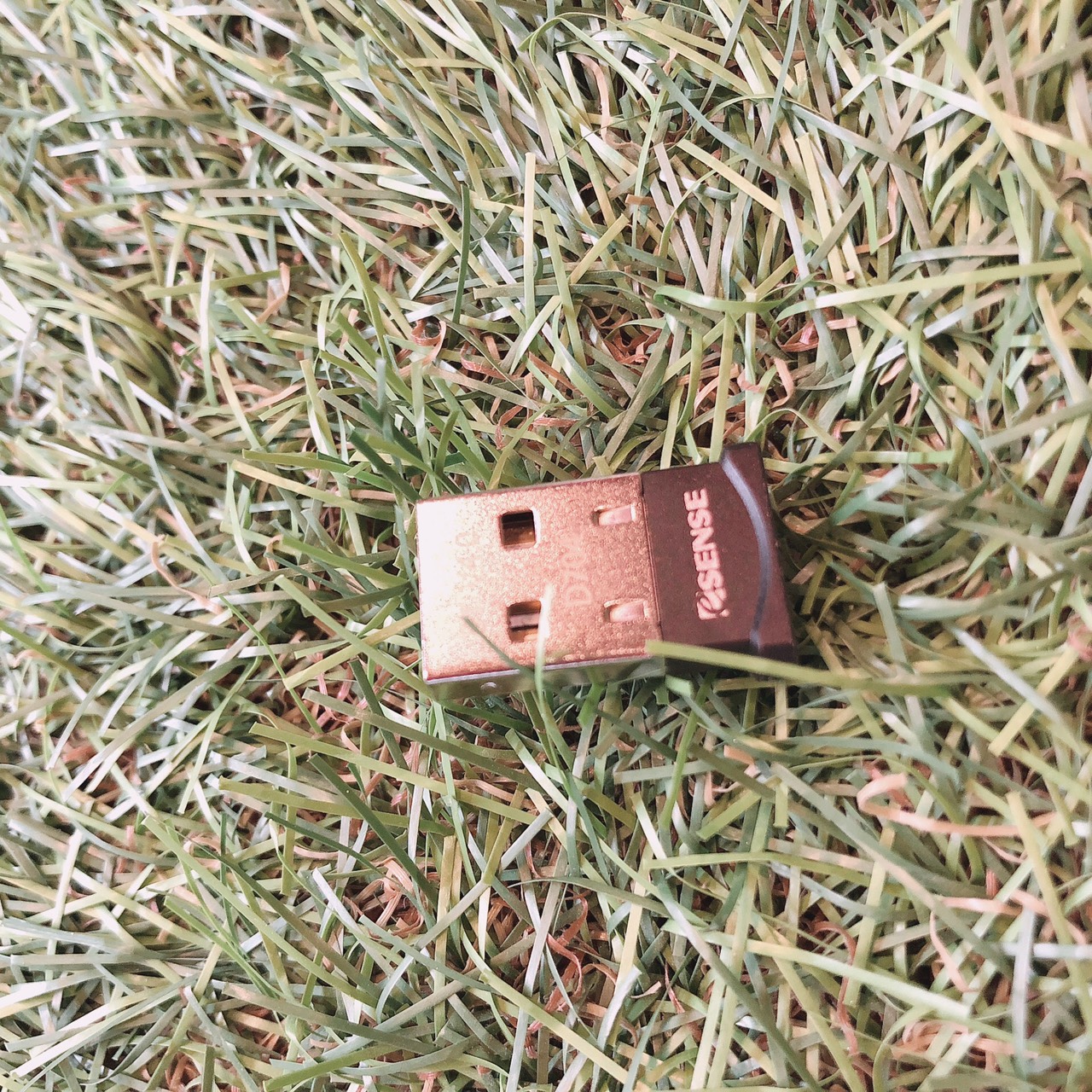 辦公室小物圖片